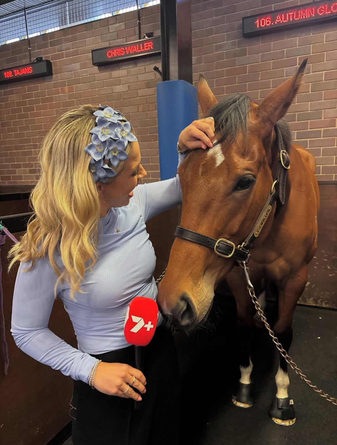 Blue Leather Wildflowers Headpiece